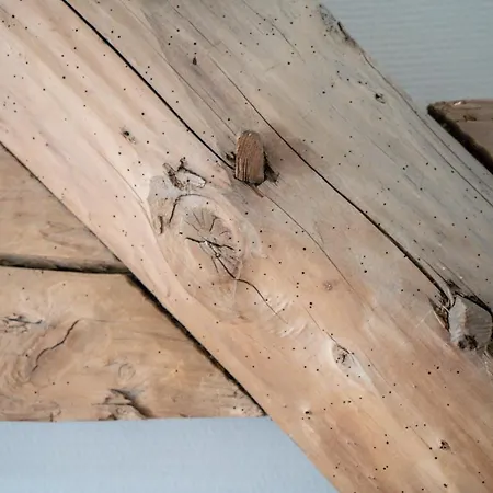 Hoeve De Bongerd 酒店 4*