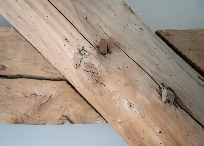 Hoeve De Bongerd Hotel 4*