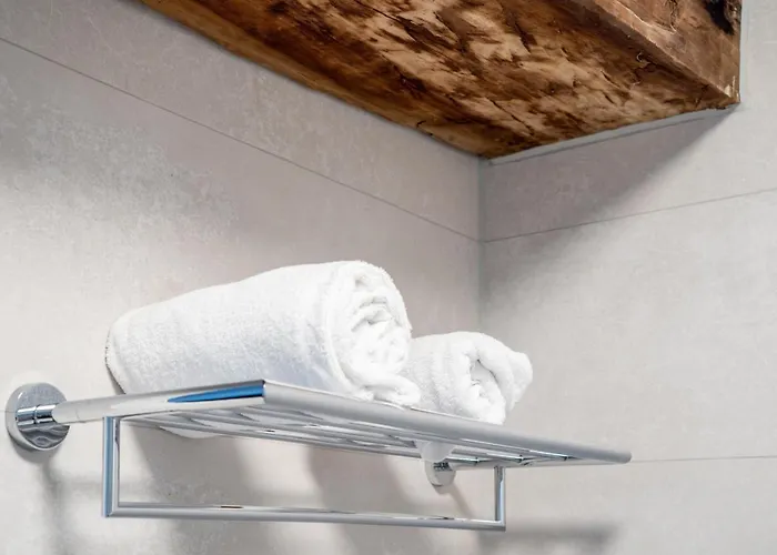 ホテル Hoeve De Bongerd 4*